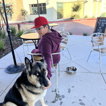 Double Shot Coffee Bar - Dog friendly - Coffee & Tea Near Me - El Dorado Hills, California