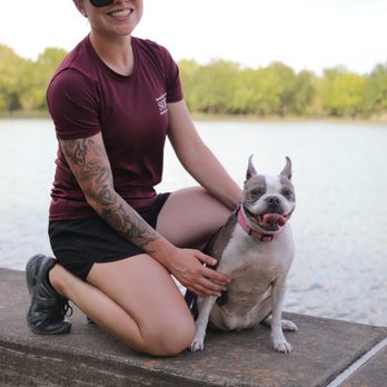 Evry K-9 - Pet Training Near Me Evry K-9 - Pet Training Near Me