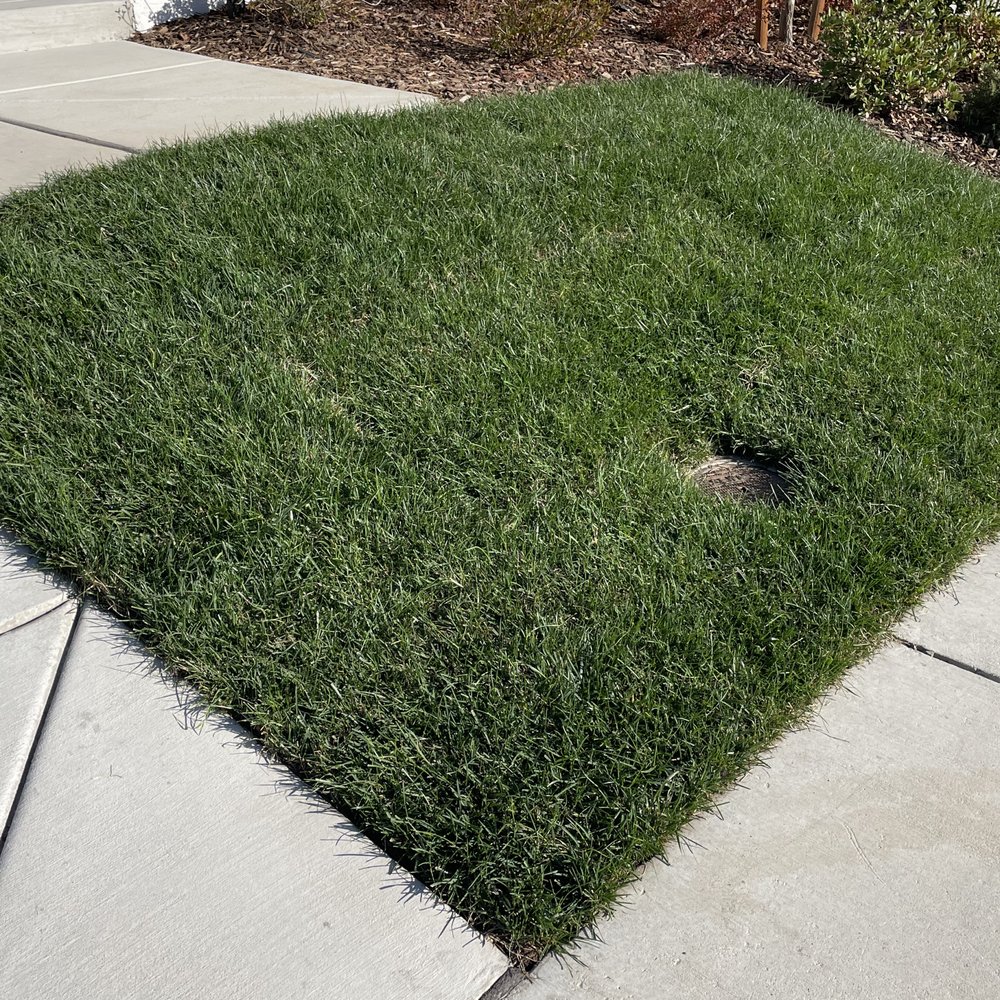 VC Landscaping & Designs - after - Landscaping Near Me - Roseville, California VC Landscaping & Designs - after - Landscaping Near Me - Roseville, California