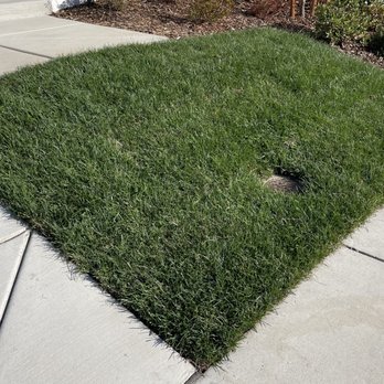 VC Landscaping & Designs - after - Landscaping Near Me - Roseville, California