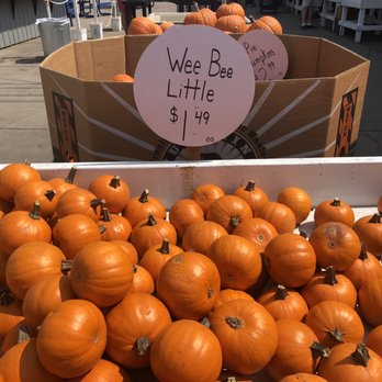 Boa Vista Orchards - Getting ready for Halloweeeen!! - Fruits & Veggies Near Me - Placerville, California