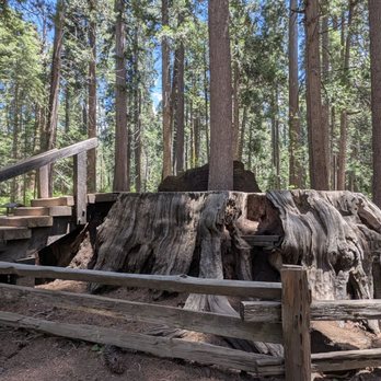 Calaveras Big Trees State Park - Parks Near Me - Arnold, California