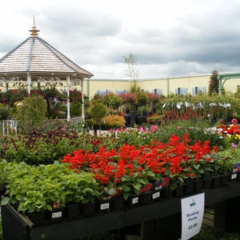 Rathwood - Rathwood Garden Centre - Diners Near Me - Tullow, CW