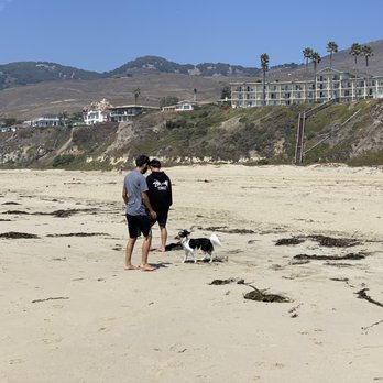 Pismo State Beach - Pismo Beach Summer 2021 - Beaches Near Me - Oceano, California Pismo State Beach - Pismo Beach Summer 2021 - Beaches Near Me - Oceano, California