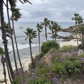 Jedidiah Coffee - Laguna beach just across the street from the shop - Coffee & Tea Near Me - Laguna Beach, California