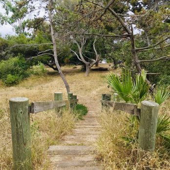Hopkins Wilderness Park - Parks Near Me - Redondo Beach, California