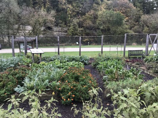 Seed Savers Exchange by null