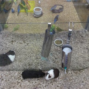 Kahoots Feed and Pet Store - Parakeets and small animals - Pet Stores Near Me - Woodcrest, California Kahoots Feed and Pet Store - Parakeets and small animals - Pet Stores Near Me - Woodcrest, California