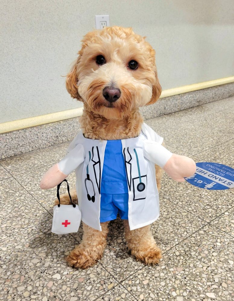 ZHUKOVSKY DENTAL Updated September 2024 61 Photos & 14 Reviews