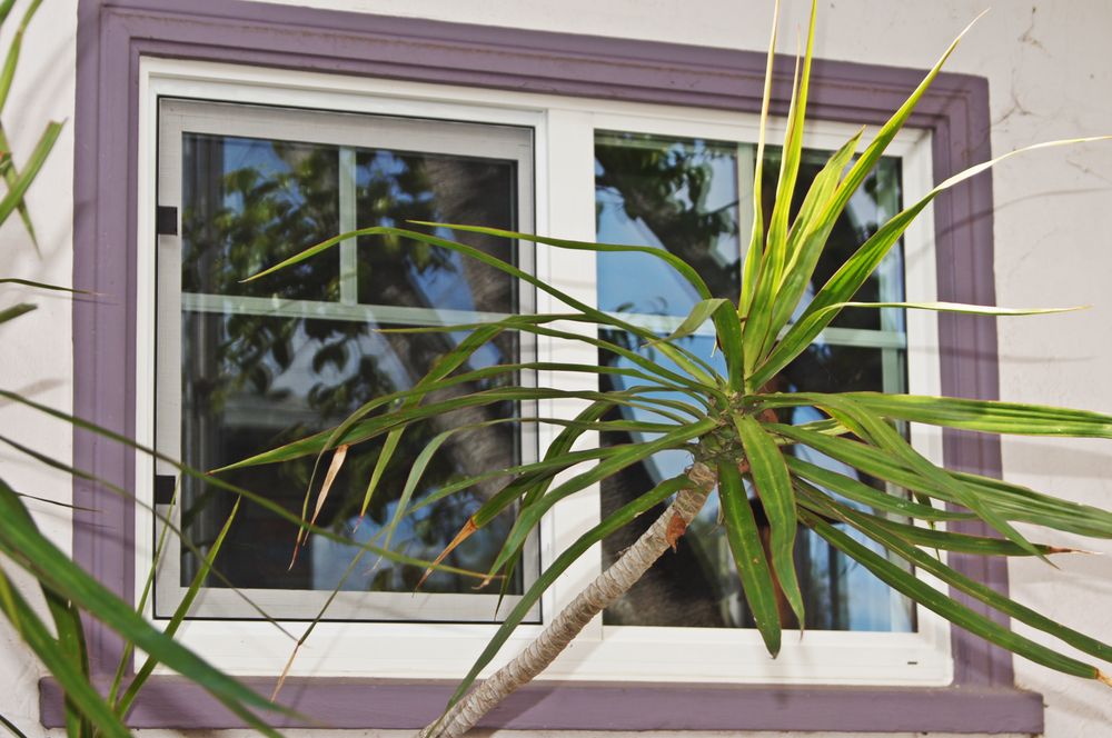 Slide of Global Investments Construction