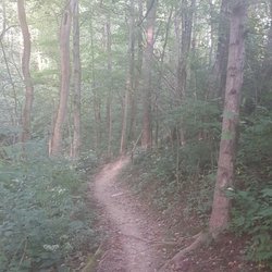 Trail pics