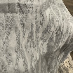 Lisa Cleaners