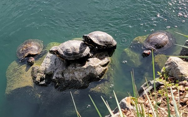 12405 E Waterfront Dr by null