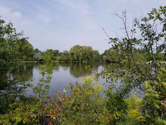 Chinguacousy Park by null