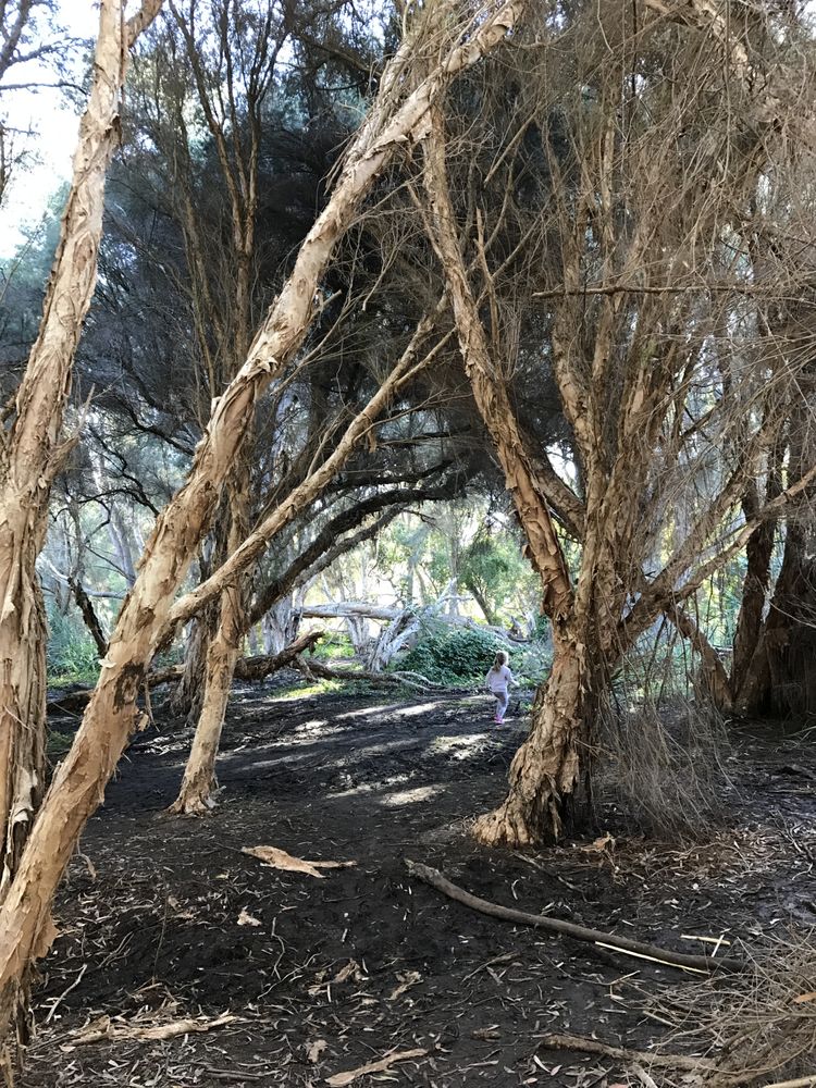 SECRET GARDEN GWELUP Updated September 2024 10 Photos 2 Careniup