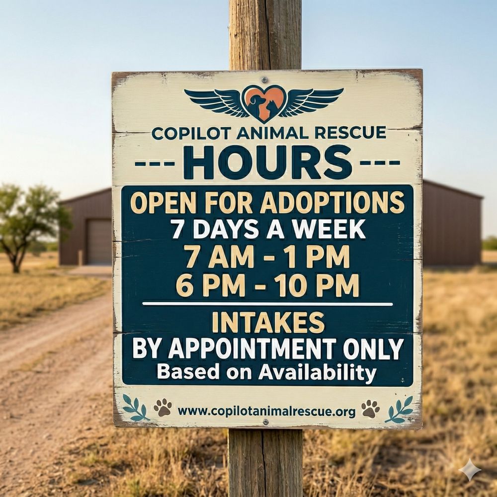Copilot Animal Rescue - pet boarding facility in Sanger, TX