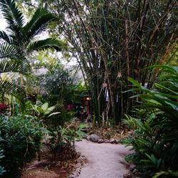 Macan Ché - Beautiful grounds