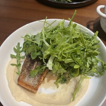 Fork & Hen - Faroe Island Salmon on purée of celeriac, arugula salad with the most wonderful vinaigrette with Meyer lemon. - Soul Food Near Me - Sarasota, Florida Fork & Hen - Faroe Island Salmon on purée of celeriac, arugula salad with the most wonderful vinaigrette with Meyer lemon. - Soul Food Near Me - Sarasota, Florida