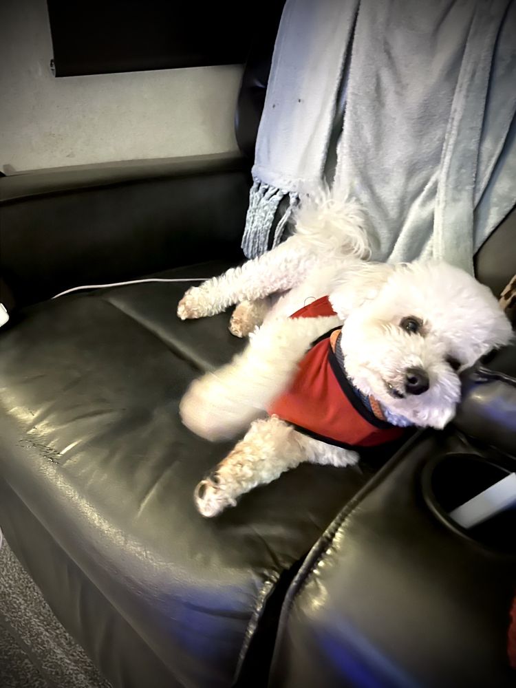 The Trails at Lavender Road – RV Park - Photo 2