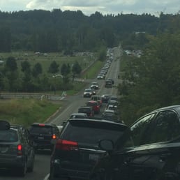 The loooong line of cars coming into the park