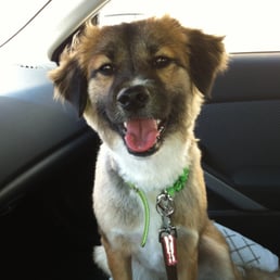 Happy after her haircut! Happy after her haircut!