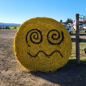 Hoffman Farm Store - Fruits & Veggies Near Me - Beaverton, Oregon