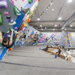 Central Rock Gym - Wynwood