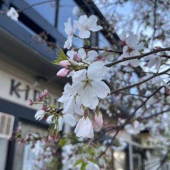 Japantown - Landmarks & Historical Buildings Near Me - San Francisco, California