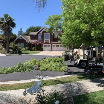 Tree Elite - Tree Services Near Me - San Jose, California