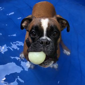 VCA ARBORETUM VIEW ANIMAL HOSPITAL - Updated October 2025 - 63 Photos