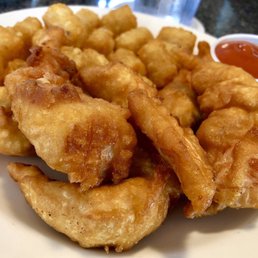 Chicken Fingers