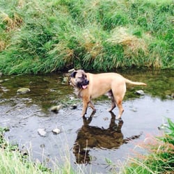 Tymon Park
