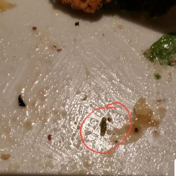 Pinstripes - Nice little worm crawling on my plate. Couldn't attach the video. - Bowling Near Me - Oak Brook, Illinois