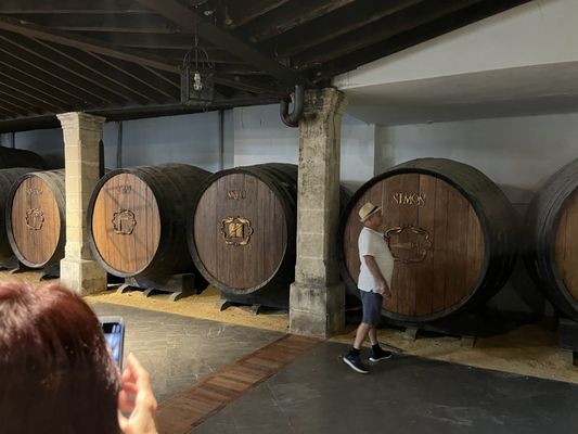 Gonzalez Byass by null