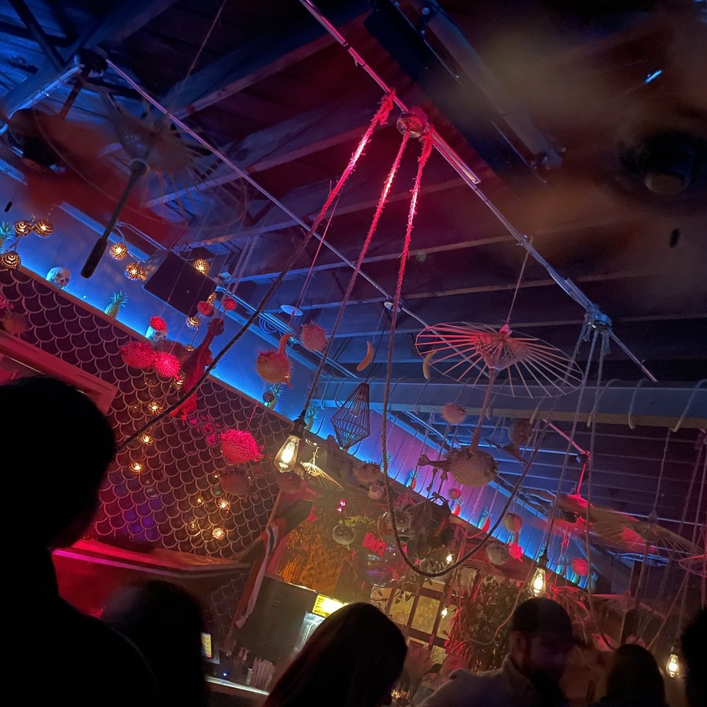 Jungle Room - Bars Near Me - Richmond, Virginia