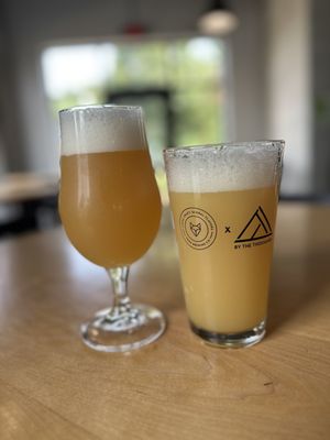 Venn Brewing Company by null