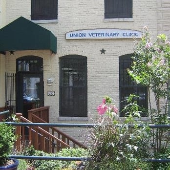 Union Veterinary Clinic - Picture taken from http://www.unionvetclinic.com - Veterinarians Near Me - Washington, DC, District of Columbia Union Veterinary Clinic - Picture taken from http://www.unionvetclinic.com - Veterinarians Near Me - Washington, DC, District of Columbia