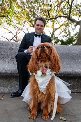 Biscuits & Bath - Riverside Blvd by null