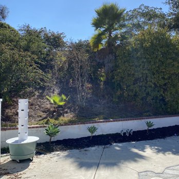 La Costa Tree Service & Maintenance - What it looked like before - Landscaping Near Me La Costa Tree Service & Maintenance - What it looked like before - Landscaping Near Me
