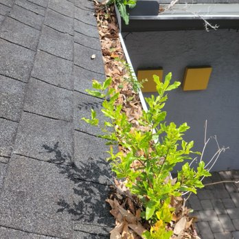 Raino Services - Gutter before cleaning - Auto Detailing Near Me