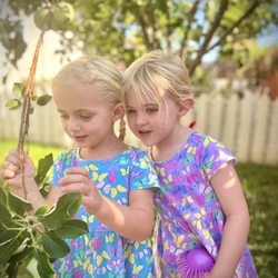 Little Farm Preschool
