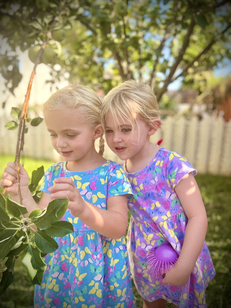 Little Farm Preschool - childcare center in Lake Elsinore, CA