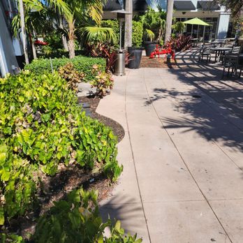 Vicky Bakery - Bakeries Near Me - Pembroke Pines, Florida