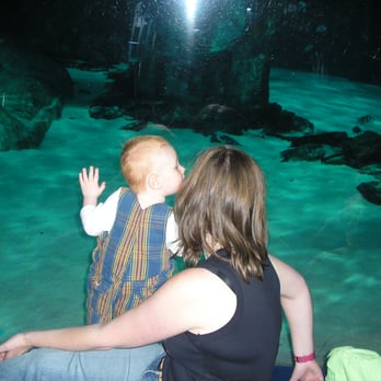 Sealife - Baby Oscar spotting sharks! - Aquariums Near Me - London, XGL