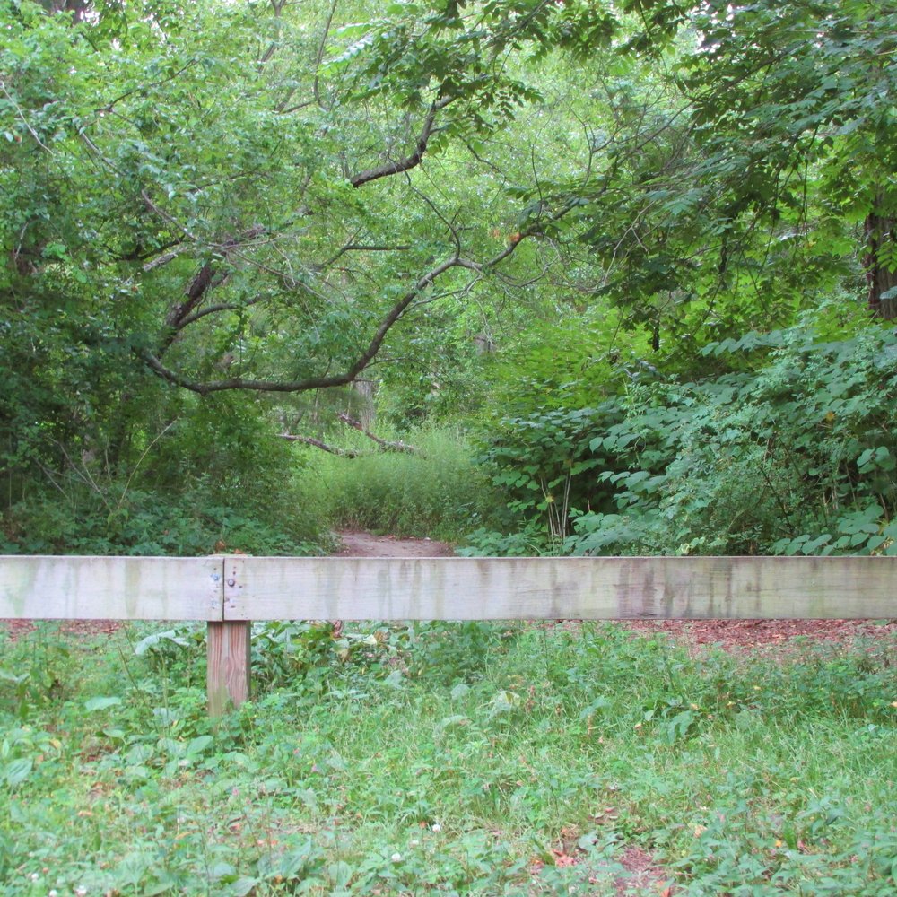 Belmont Park - Lots of bugs and poison ivy - Parks Near Me - Warwick, Rhode Island