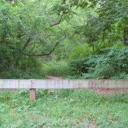 Belmont Park - Lots of bugs and poison ivy