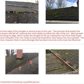Moss Busters - BEFORE - Gutter Services Near Me - Portland, Oregon Moss Busters - BEFORE - Gutter Services Near Me - Portland, Oregon