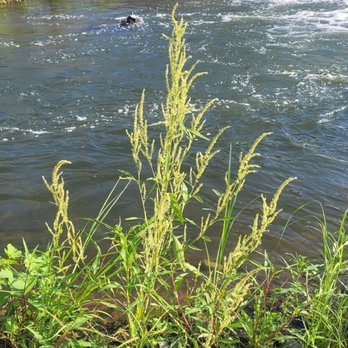 San Gabriel River Trail - Hiking Near Me San Gabriel River Trail - Hiking Near Me