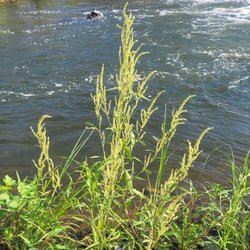 San Gabriel River Trail
