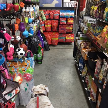 Self Serve Pet Spa - Hershel wanting all the toys - Pet Stores Near Me - Bakersfield, California